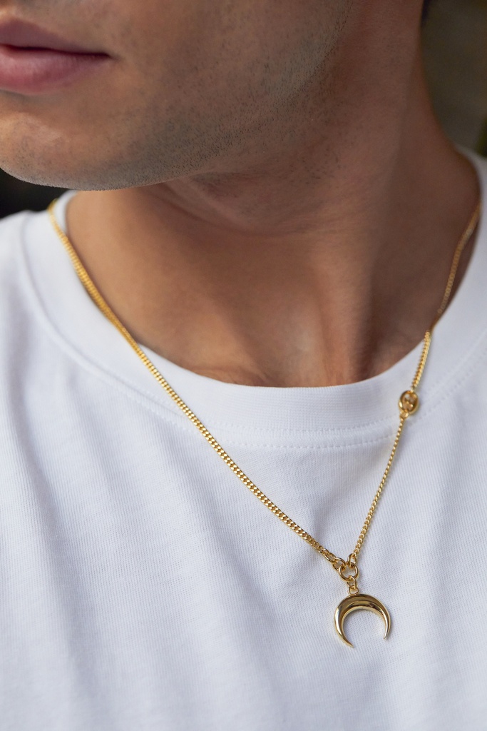 Gold Plated Horn Necklace