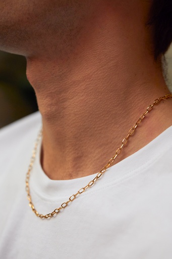 [BLN5988G] Paperclip Chain  Necklace - Gold Finish