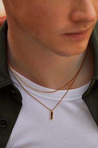 [BLN6342] Tigers Eye Tag Necklace