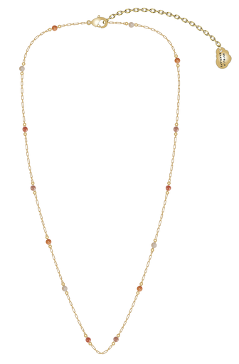 [EBN6823G] CARNELIAN PAPERLINK NECKLACE