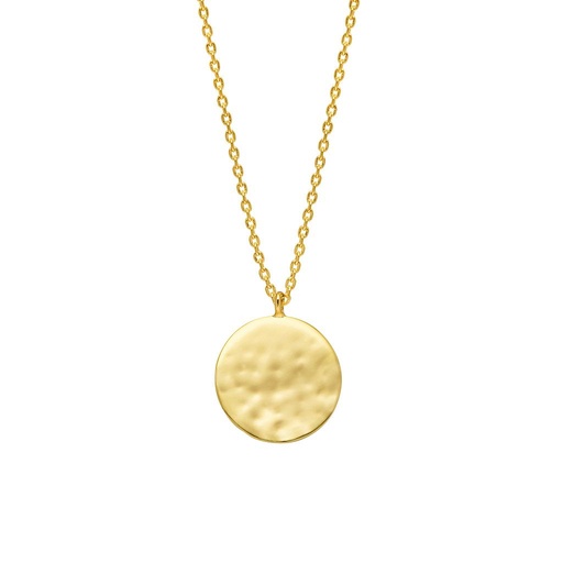 [EBN3972G] Hammered Disc Pendant Necklace - Gold Plated